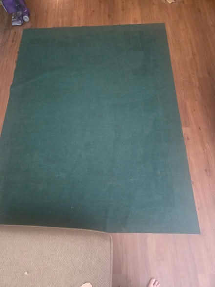 Photo of free Green Rug (South Richland) #1