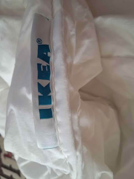 Photo of free Single duvet (Plaistow E15) #2