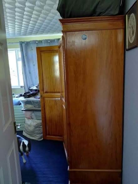 Photo of free Wardrobe pine (Bexhill-on-Sea) #3