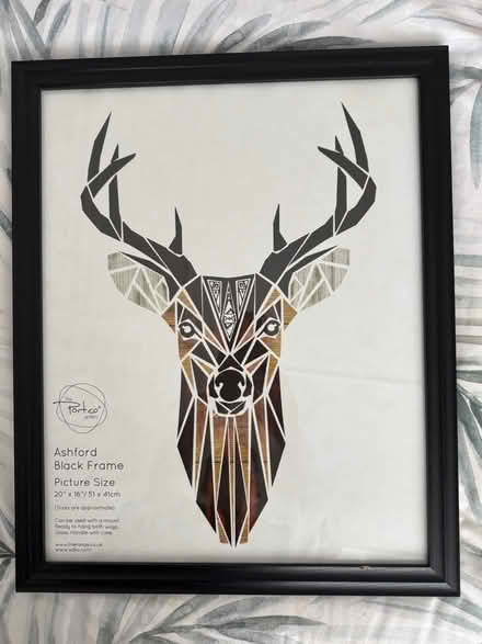 Photo of free Large Picture Frame (New Brighton) #1