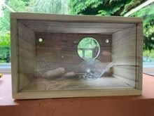 Photo of free Budgie nesting box (Cob Lane B29) #1