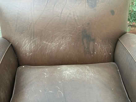 Photo of free Brown Club Chair (West Hollywood) #4