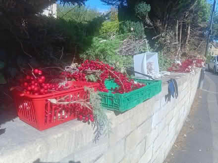 Photo of free Brand new Christmas decoration (Upper oldfield park) #1