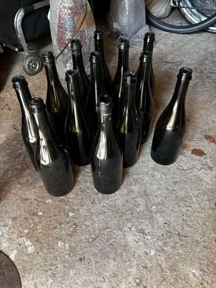 Photo of free 13 x unlabelled champagne bottles (Wootton OX20) #1
