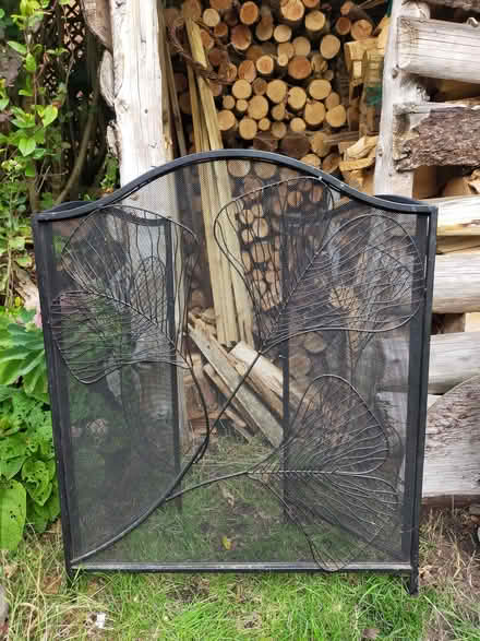 Photo of free Decorative fire guard (Little Wenlock TF6) #1