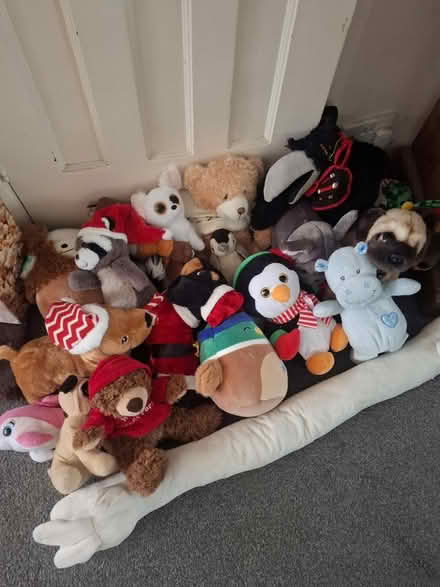 Photo of free Plush toys (Stanwell TW19) #1