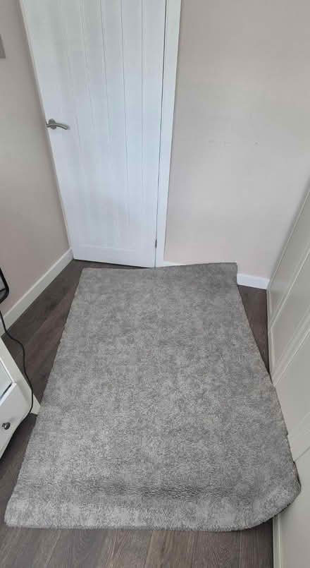 Photo of free Ikea pile rug (Nn82nb) #3