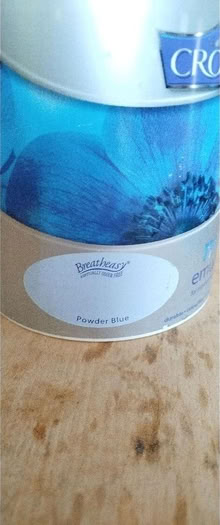 Photo of free Paint. (Catton NR6) #2