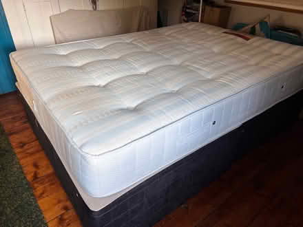 Photo of free Double bed (Guestling Green TN35) #1