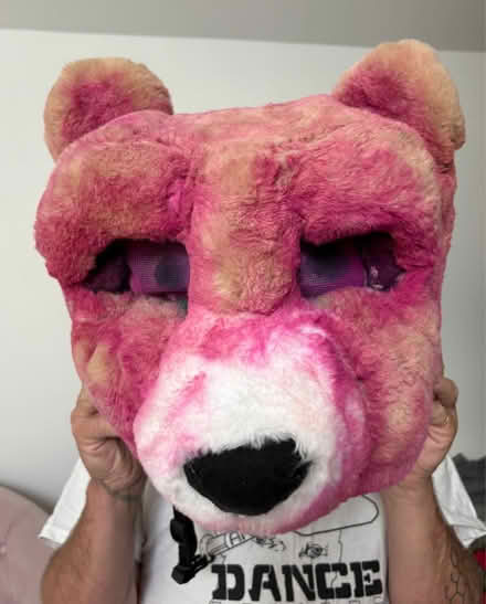 Photo of free Fancy dress bear head (Lockleaze BS7) #1