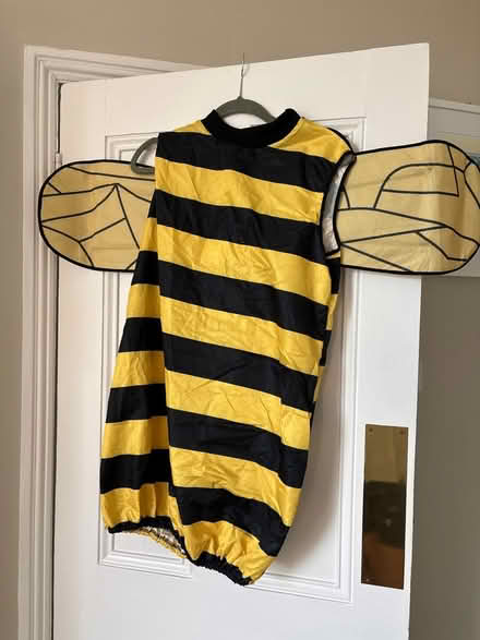 Photo of free Bee outfit (SW19 Gap Road) #1