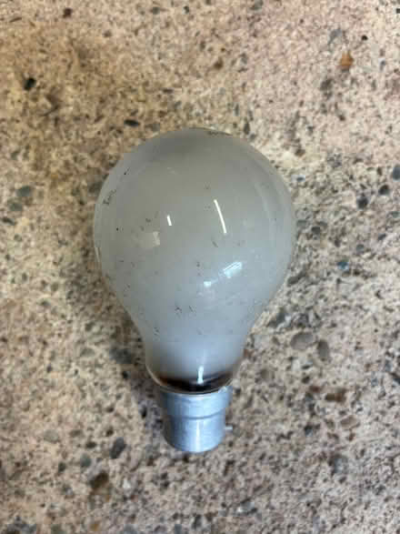Photo of free 40 W bayonet old tungsten filament lightbulb (Great Boughton CH3) #1