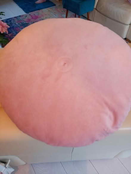 Photo of free Pale pink velvet cushion (Cowley Oxford OX4) #3