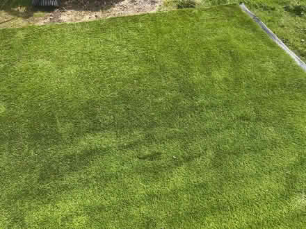 Photo of free Plastic Astro turf (Iford BH7) #2