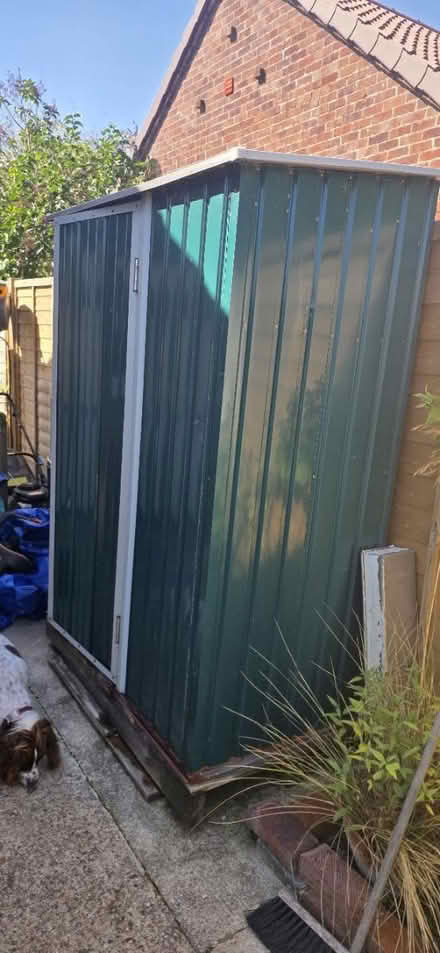 Photo of free Shed (Petersfield GU31) #4