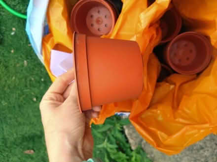 Photo of free Various plant pots (Coventry CV6) #2