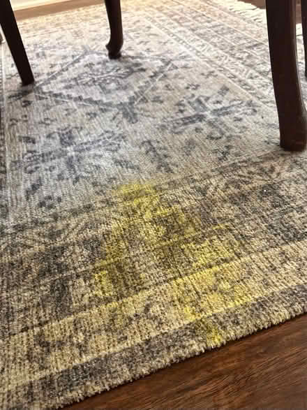 Photo of a dining room rug (south elgin) #1