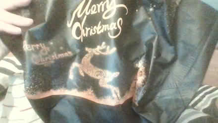Photo of free Harrods bag small (Globe Town E2) #3