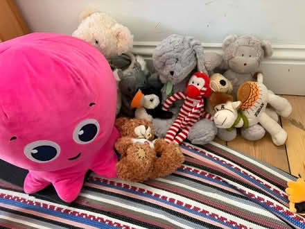 Photo of free Assortment of soft toys (London E9) #1