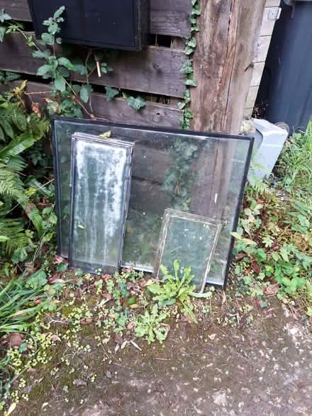 Photo of free Gazing different sizes (Beenleigh TQ9) #1