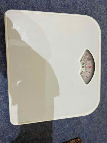 Photo of free Scales (TN32) #1