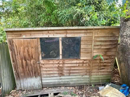 Photo of free Wooden Shed (300cm x 175cm) – Needs Roof Repair (Camden BA1) #1