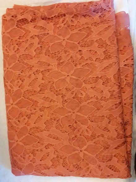 Photo of free Pink flower Lace Material (Birmingham City Centre B1) #1