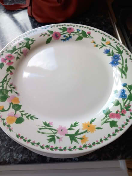 Photo of free 8 plates (Braintree CM7) #1