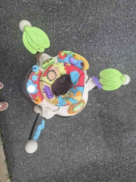 Photo of free Baby bouncy (Olney MD) #2