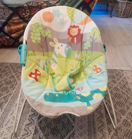 Photo of free Baby Bouncer Chair (Keighley BD20) #2