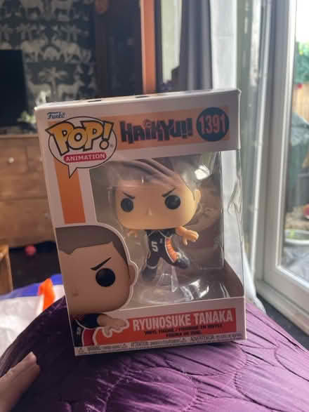 Photo of free Pop figure (Oswestry SY11) #1