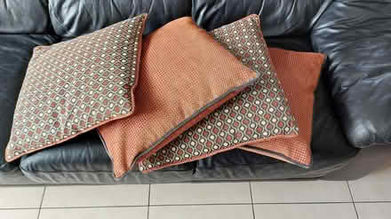 Photo of free 4 cushions (Belfast BT11) #2