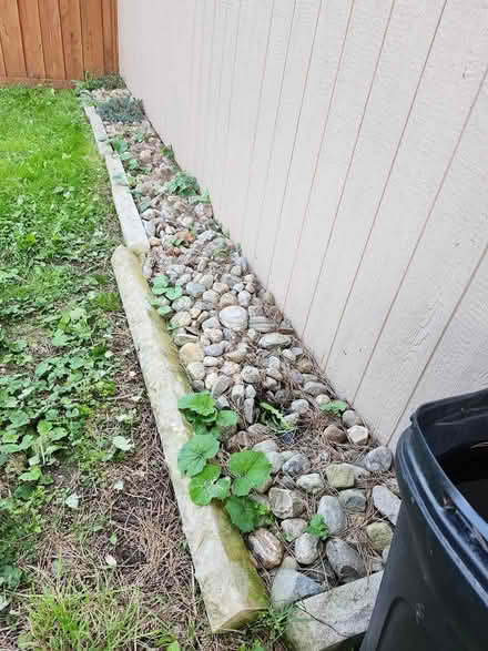 Photo of free River rocks/curb stones (Schomberg) #2