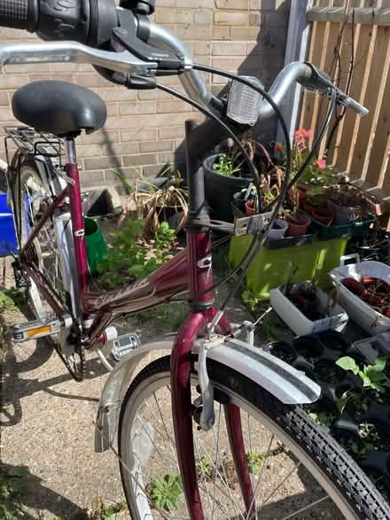Photo of free Bike, with punctures (Earlham NR4) #2