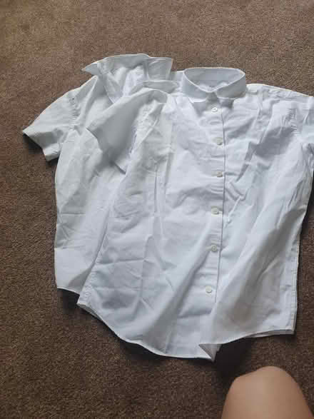 Photo of free Brand new velcro short sleeves (Moseley B13) #1