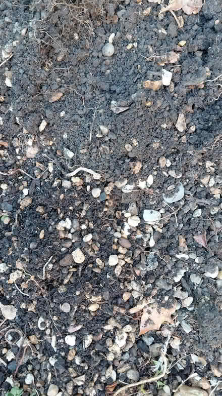 Photo of free Soil with gravel S12 (Sheffield S12) #4