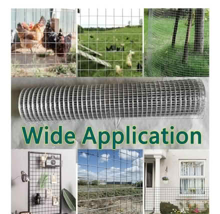Photo of Chicken Wire Mesh Rodent Proof (NG82NE) #1