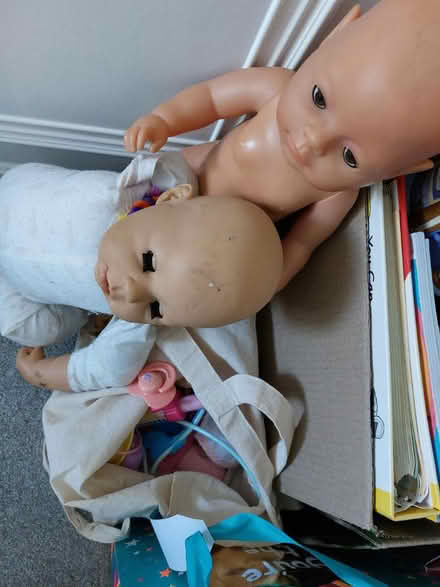 Photo of free Dolls and bits (Tilehurst, Reading) #1