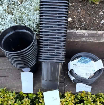 Photo of free Seed pots (Bromley,Hayes BR2) #1