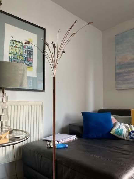 Photo of free Copper multi armed floor lamp (Lewes BN7) #1
