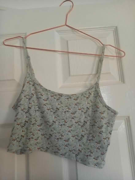 Photo of free Hollister Daisy Crop Top (S12 Gleadless) #1