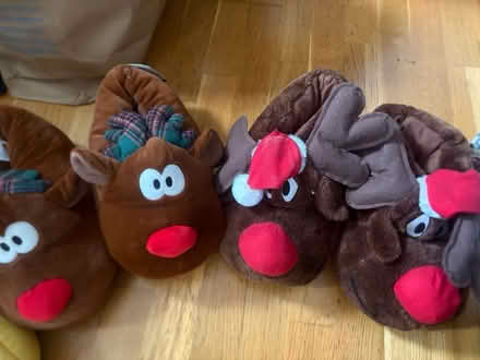 Photo of free Novelty slippers (Rotherham S62) #2