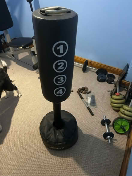 Photo of free Child’s punch bag (S18 Dronfield) #1