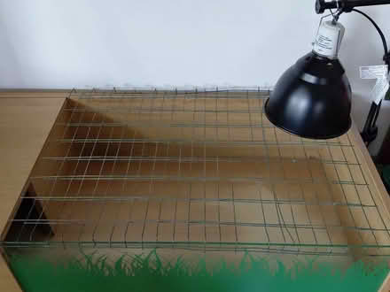 Photo of free Tortoise or lizard table/enclosure (Brentwood CM15 9EH) #2