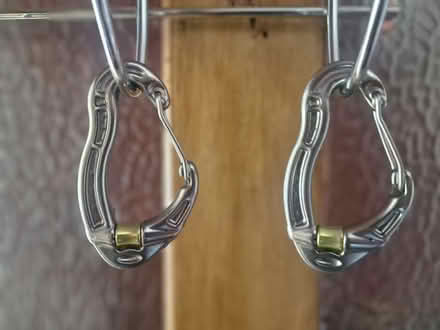 Photo of free 2 revolver carabiners (Stroud GL5) #1