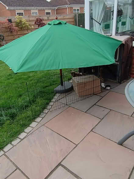 Photo of free Patio Parasol - Top (Mansfield NG18) #4