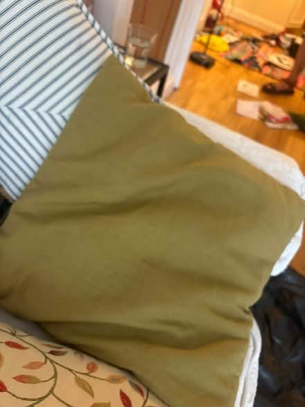 Photo of free 8 cushions (Battersea SW11) #2