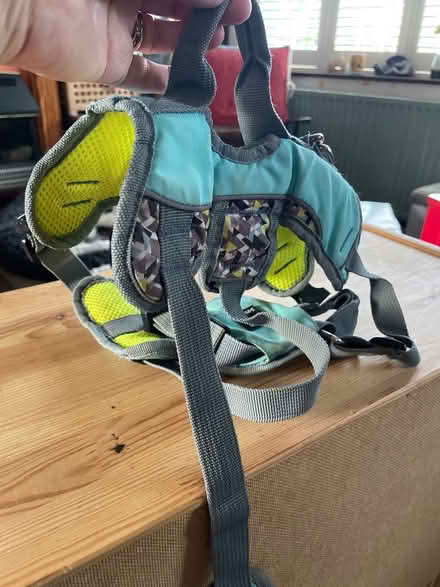 Photo of free Dog harness (Chelmsford CM2) #1