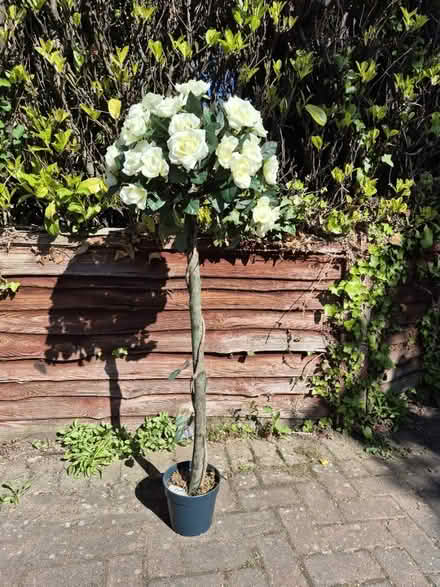 Photo of free Artifical rose tree (IP10) #1