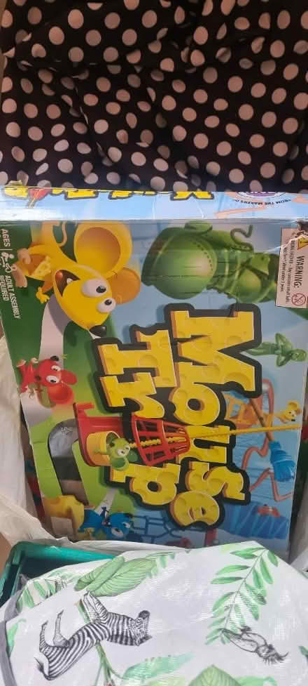 Photo of free Mouse trap (Rochester ME1) #1